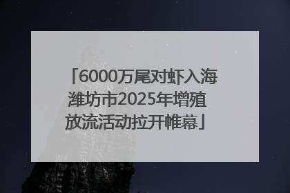 6000万尾对虾入海 潍坊市2025年增殖放流活动拉开帷幕