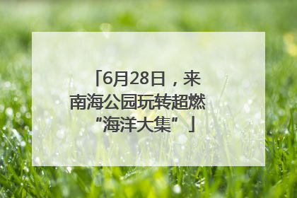 6月28日，来南海公园玩转超燃 “海洋大集”