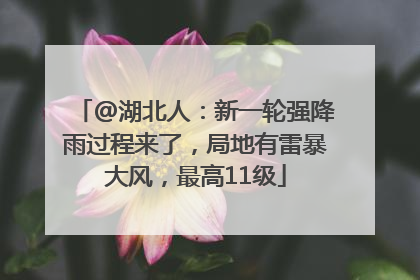 @湖北人：新一轮强降雨过程来了，局地有雷暴大风，最高11级