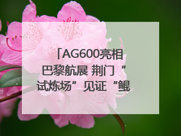 AG600亮相巴黎航展 荆门“试炼场”见证“鲲龙”腾飞