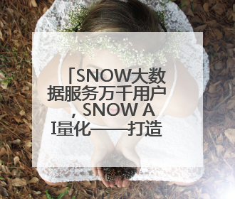 SNOW大数据服务万千用户，SNOW AI量化——打造亚太云端AI量化