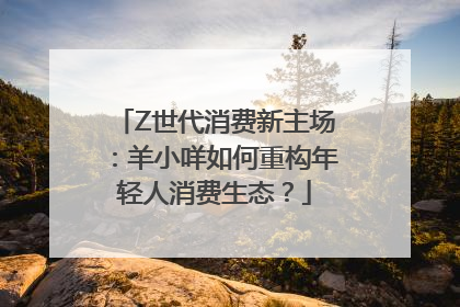 Z世代消费新主场：羊小咩如何重构年轻人消费生态？