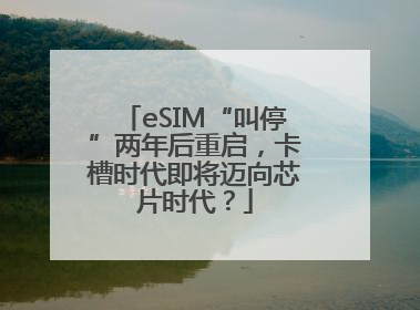 eSIM“叫停”两年后重启，卡槽时代即将迈向芯片时代？